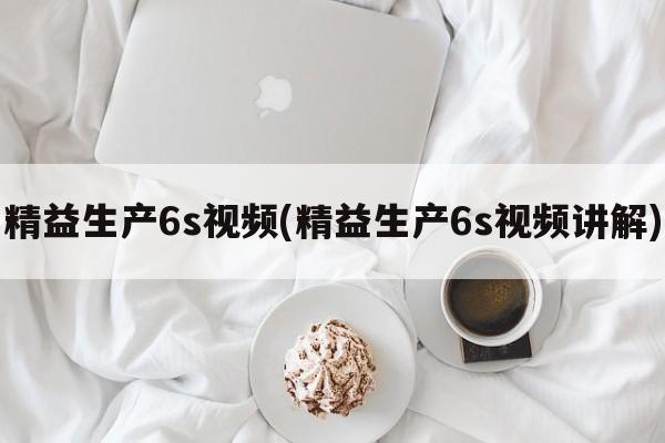 精益生产6s视频(精益生产6s视频讲解)